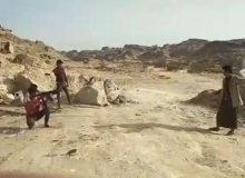 ویدئو – فیلم بسیار عجیب از تمرین تیراندازی حوثی های یمن