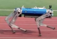 ویدئو – سگ رباتیک رکورد دو ۱۰۰ متر گینس را شکست!