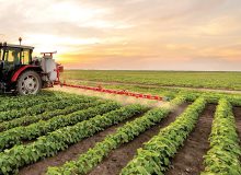 رتبه تک رقمی ایران در تولید ۲۰ محصول کشاورزی