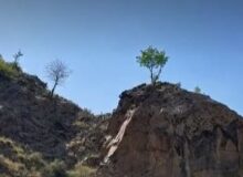 الموت کجاست؟