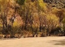 سفر به قلب الموت