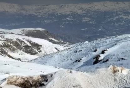 کوهستان پوشیده از برف در الموت