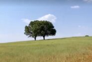 طبیعت زیبای استان فارس
