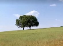 طبیعت زیبای استان فارس
