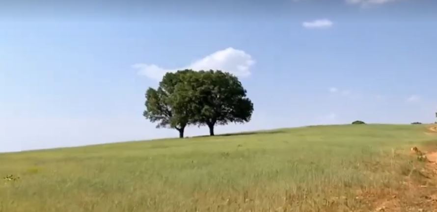 طبیعت زیبای استان فارس