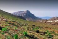 طبیعت زیبای کوه برم فیروز