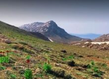 طبیعت زیبای کوه برم فیروز