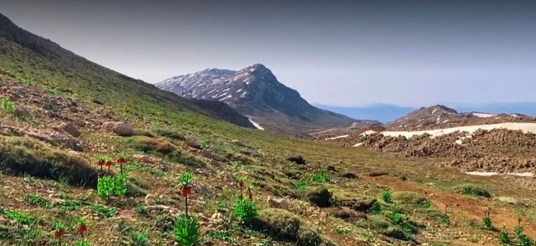 طبیعت زیبای کوه برم فیروز
